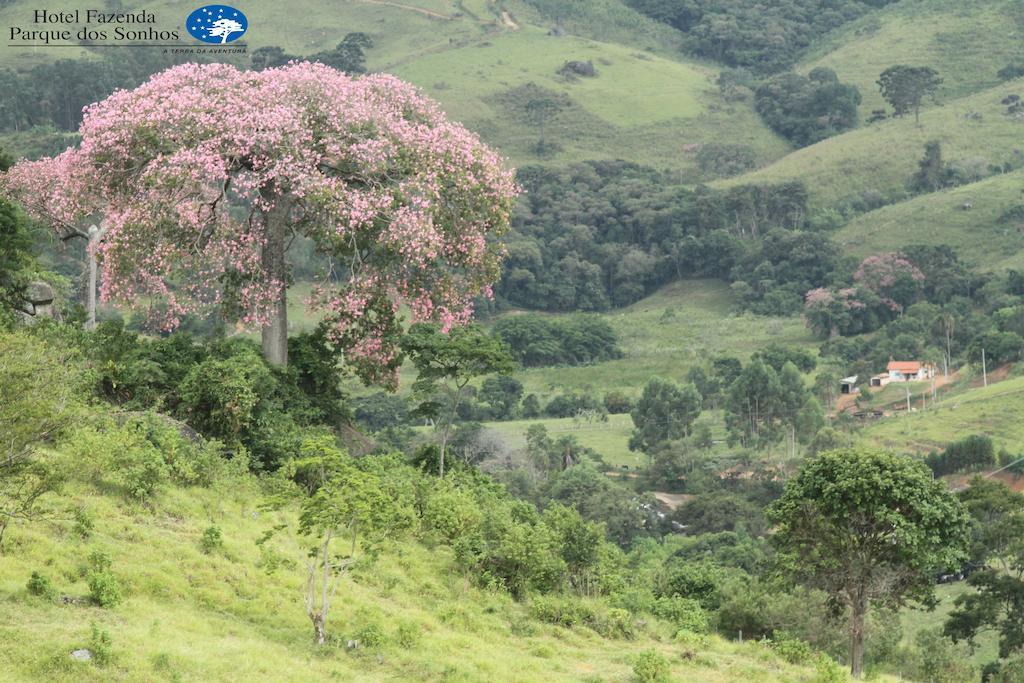 Hotel Fazenda Parque Dos Sonhos Socorro  Exteriér fotografie